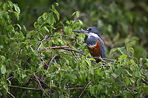 DSC_20230819_Z9_106660a.jpg