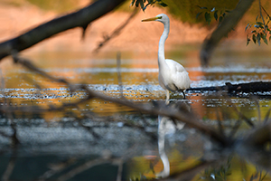 DSC_05302d.jpg