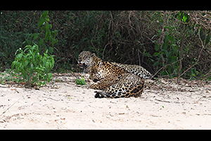 DSC_20230815_Z9_099815a.jpg