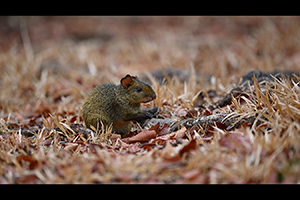 DSC_20230819_Z9_105931a.jpg